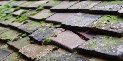 Keeley Green roof repair costs